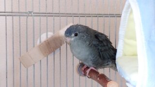 Thumbnail of post image 079