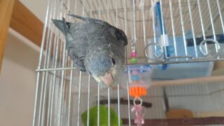 Thumbnail of post image 020