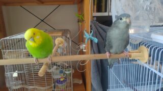 Thumbnail of post image 126