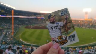 Thumbnail of post image 091