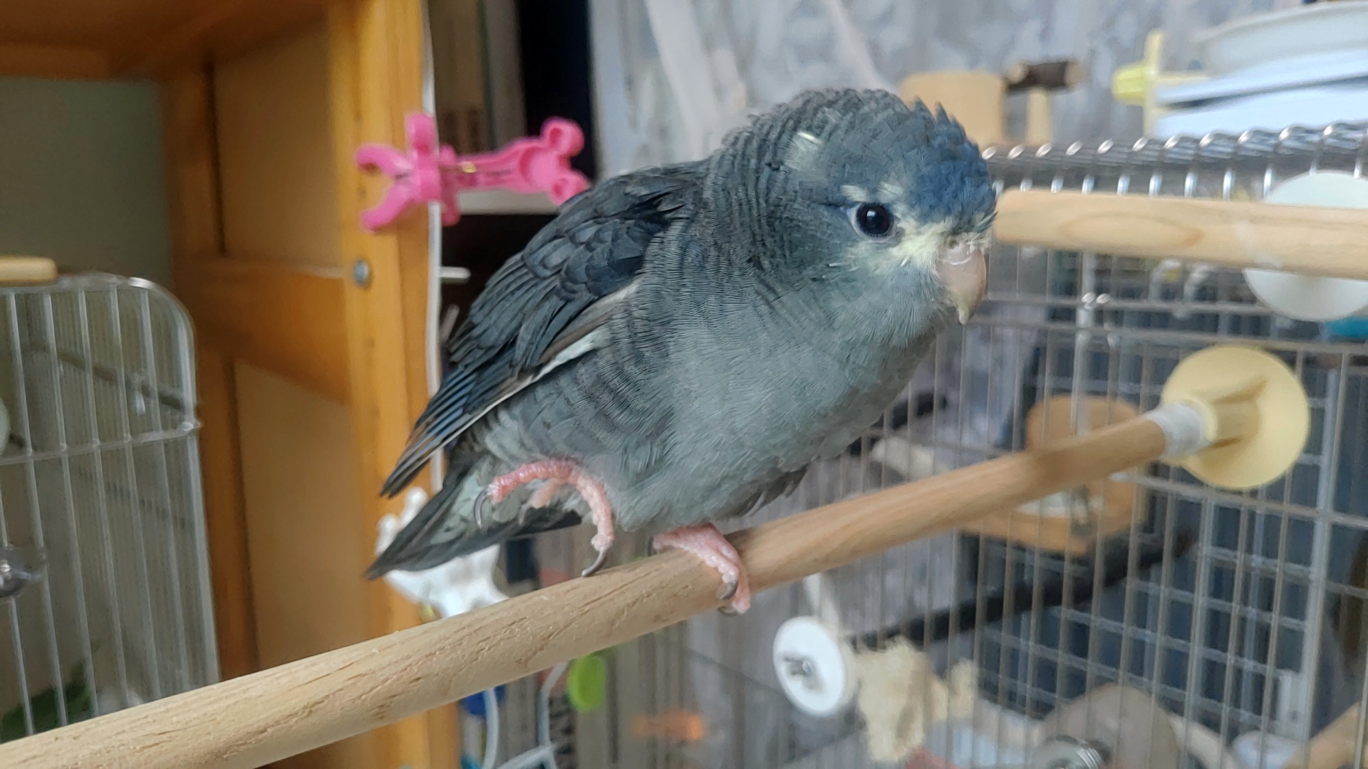 Thumbnail of post image 106