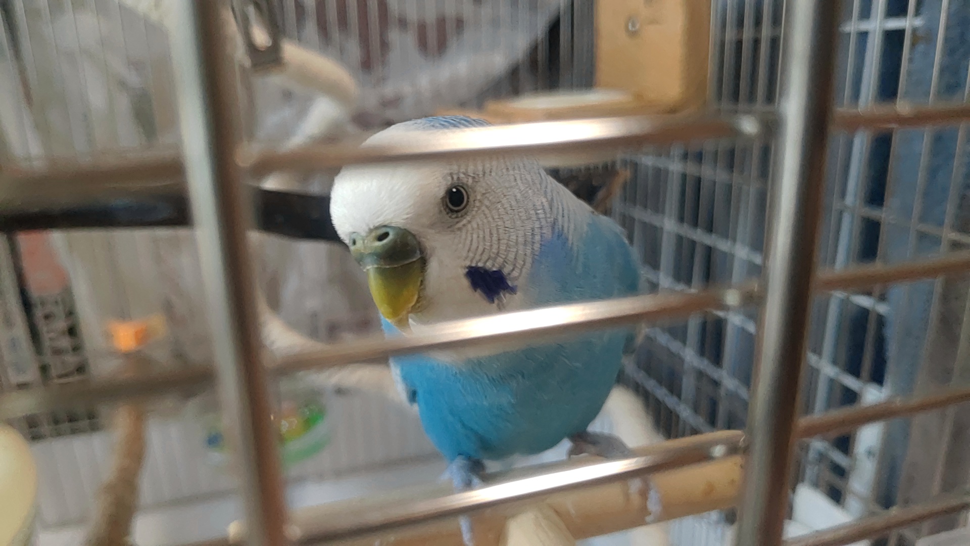 Thumbnail of post image 015