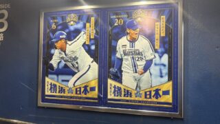 Thumbnail of post image 063