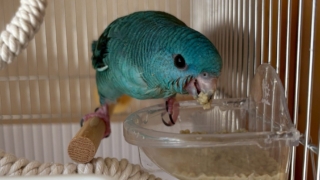 Thumbnail of post image 086