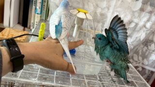 Thumbnail of post image 088